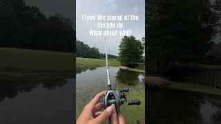 The sound of the shimano curado dc fishingvideo god fishing fish bait lure fishinglife fyp [upl. by Chase666]