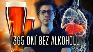 Co se děje s tělem když přestanete pít alkohol [upl. by Eemyaj]