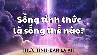 Sống Tỉnh Thức Là Sống Thế Nào [upl. by Ailaro]