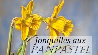 Jonquilles aux PanPastel Démo pastel sec [upl. by Hannibal]