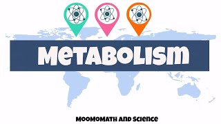 introduction to metabolism  Biology basics [upl. by Philippa630]