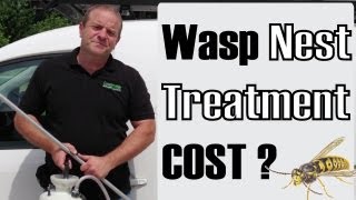 Wasp Nest Removal or Treatment Cost  Reading Newbury Basingstoke  Berkshire [upl. by Lief591]