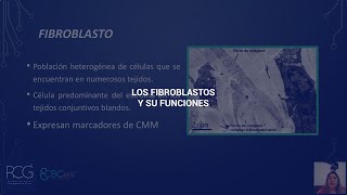 Las Funciones de los Fibroblastos  RCG [upl. by Netsuj]