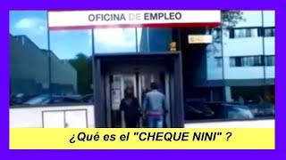 LA AYUDA PARA DESEMPLEADOS JÓVENES El Cheque Nini de 430 € [upl. by Eciral]