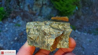 100KG Massive Chalcopyrite Removed From Outcrop Lucky Strike Property KLM [upl. by Annoik517]