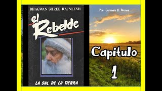 AUDIOLIBRO EL REBELDE CAP 1 [upl. by Ameerahs721]