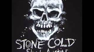 Stone Cold Steve Austin Classic Theme Song [upl. by Nwahsiek]