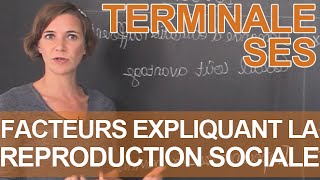 Quels facteurs expliquent la reproduction sociale   SES  Terminale  Les Bons Profs [upl. by Averir997]