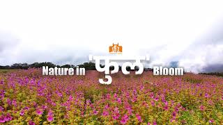 Maharashtra Tourism Live Stream [upl. by Cressy]