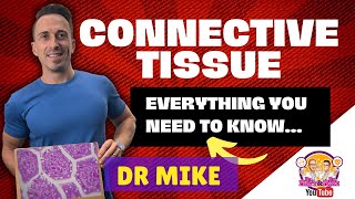 Connective Tissue  Everything you need to know [upl. by Adnylam832]