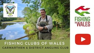 Fishing Clubs of Wales Carmarthen amp District Angling Club  River Towy and Tributaries [upl. by Hsirk]