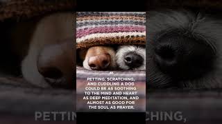 Petting your dog is soothing choicechangeinspire7773 [upl. by Lindblad]