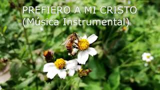 PREFIERO A MI CRISTO  INSTRUMENTAL [upl. by Oivlis]