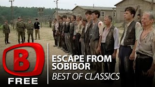 Boom TV  Escape from Sobibor  Full Drama Movie  History  War [upl. by Schnurr886]