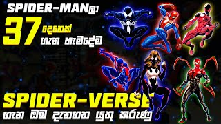 Across The Spiderverse බලන්න කලින් දැනගත යුතු කරුණු  Spiderverse Sinhala Review [upl. by Dahlstrom]