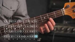 How to Play a D Major Scale  Bass Guitar [upl. by Amle]