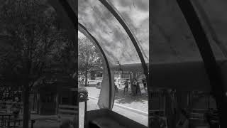 Covered Wagon Ride  Fort Worth Stockyards [upl. by Ainollopa22]