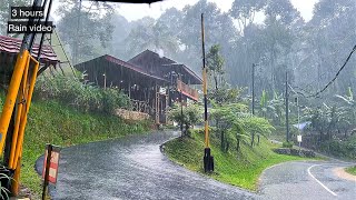 Rain in a beautiful and cool villageIndonesian rural atmospheresuitable for insomnia [upl. by Isaacs889]