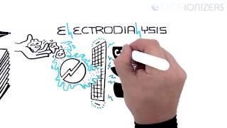 Life Ionizers Presents  How Does A Water Ionizer Work [upl. by Ecitsuj]