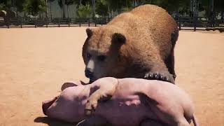 Grizzly bear vs wild life animals far cry 5 [upl. by Davidde]