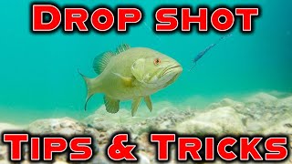 Dropshot Tricks For Hot Summer Fishing Beginner To Advanced [upl. by Adlesirk873]