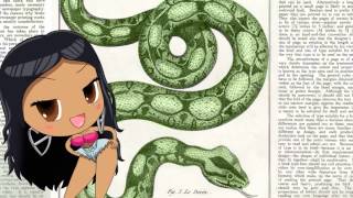 Anaconda The Educational Version [upl. by Assenej]