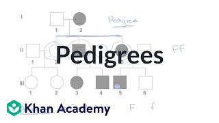 Pedigrees  Classical genetics  High school biology  Khan Academy [upl. by Gus]