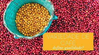 Variedade de café define qualidade [upl. by Mutua]