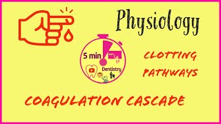 COAGULATION CASCADE  CLOTTING PATHWAY  PHYSIOLOGY  EASY EXAM NOTES  5minDENTISTRY [upl. by Centonze]