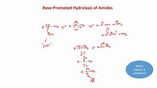 Hydrolysis of ester and amides [upl. by Houston]