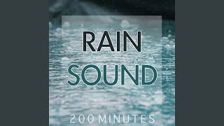 Rain Sound Pure White Noise for Natural Deep Sleep Inducing [upl. by Chiles]