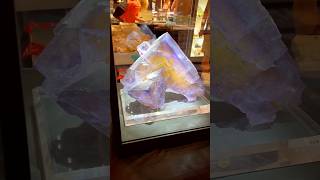 Giant Fluorite Crystal from Illinois ✨💎 fluorite crystals geology iloverocks [upl. by Vance]