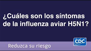 ¿Cuáles son los síntomas de la influenza aviar H5N1 [upl. by Etiam262]