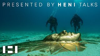 Damien Hirst Treasures from the Wreck of the Unbelievable  Presented by HENI Talks [upl. by Airdnola205]