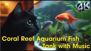 🎵 Coral Reef Aquarium Fish Tank with Music  Tropical Beautiful Fish🐟 Cat video [upl. by Arenahs]