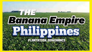 Banana Plantation Exploring the Philippines Plantation Dominance [upl. by Aisiat646]