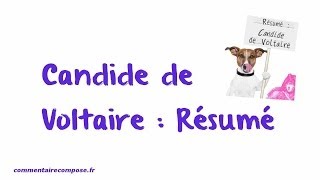 résumé Candide [upl. by Aihcila]