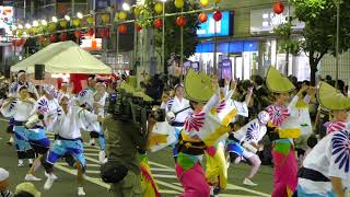 越谷市役所いきいき連／南越谷中央通り演舞場／第34回 南越谷阿波踊り2018（初日） [upl. by Ahtennek]