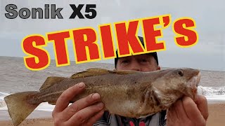 Sea fishing Chesil beach Cod with a Sonik X5 [upl. by Anujra]