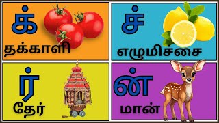 Tamil consonants  க் ங் ச் ஞ் தமிழ் மெய் எழுத்துக்கள் [upl. by Orfurd]