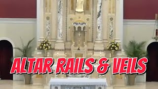 Homily Eighteenth Sunday in Ordinary Time Vigil Mass 2024 catholichomily catholic catholicmass [upl. by Iinde]