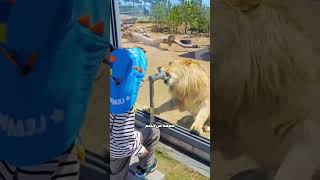 تجربة مذهلة في حديقة الحيوان 🦁 [upl. by Krissy984]