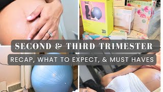 Second amp Third Trimester Pregnancy Symptoms What to Expect Pregnancy Essentials and Recap [upl. by Piefer432]