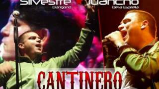 CANTINERO  SILVESTRE DANGOND Sin marcas ni jingles [upl. by Dorweiler]