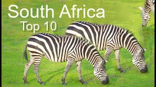 South Africa Top Ten Things To Do by Donna Salerno Travel [upl. by Sandell]