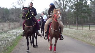 quotBAY BEASTquot Standardbred Stallion Trail Horse at Macedonia Trail Ride [upl. by Seftton570]