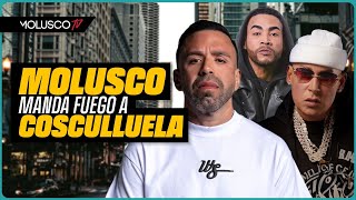 “Concentrate en lo tuyo” Molusco manda fuego a Cosculluela  Don Omar envía MENSAJE AUTORIZADO [upl. by Adiela]