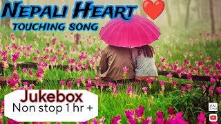 Nepali heart touching song 2024new nepali love songnepali romantic songkabindrarawat01viral [upl. by Saravat]