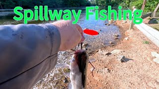 Spillway Fishing piscifun [upl. by Allerus392]