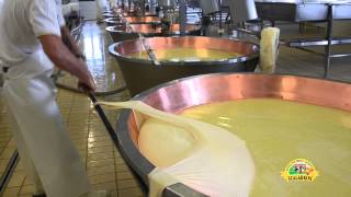 Ciclo produttivo del Parmigiano Reggiano [upl. by Aguie]